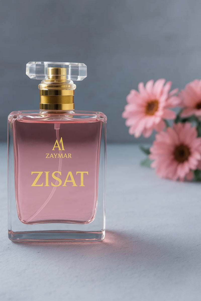 Zasit  by Am zaymar
